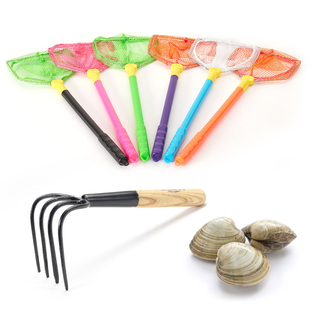 Seasonal Package 05: Kids Beach Package