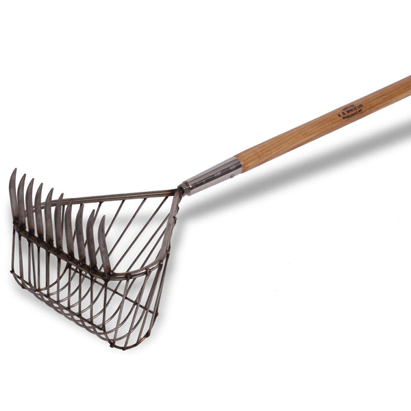 CLAM RAKESMaine Ash Handles 100% Stainless Options - KB White